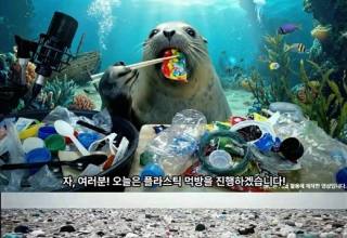 물개 ‘먹방’ 영상 화제…뭘 이렇게 맛있게 먹는지 보니? ‘충격’