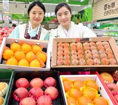 농협유통 하나로마트...병오년 설 선물은 과일 세트 추천