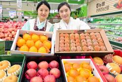 농협유통 하나로마트...병오년 설 선물은 과일 세트 추천