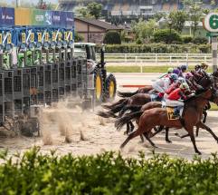 2월 20~22일 설 연휴 경마 휴장… 27일 경마 재개