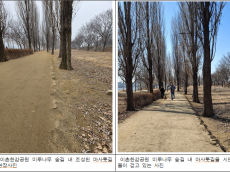 김용호 시의원,‘이촌한강공원 미루나무 숲길 1.8km 마사톳길 조성 완료’환영