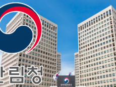 경남 밀양 산불... 야간진화 총력 대응