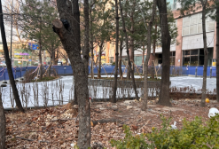 “관행처럼 베던 공원 나무”…이젠 제동 건다