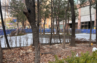 “관행처럼 베던 공원 나무”…이젠 제동 건다