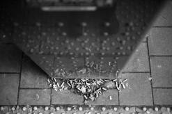 “하수구는 재떨이가 아닙니다”…버린 꽁초, 결국 ‘침수’로 돌아옵니다