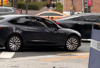 인간·야생동물 갈등 10년 새 60%↑…도심까지 확산