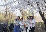 [현장 포토] 설레는 초봄과 초봄을 잇는 ... 여의도  '봄의 정원'  봄꽃 축제 현장