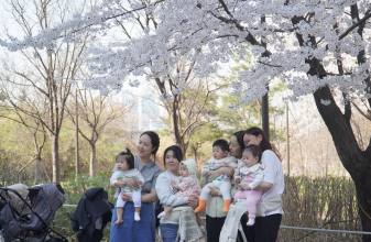  설레는 초봄과 초봄을 잇는 ... 여의도  '봄의 정원'  봄꽃 축제 현장