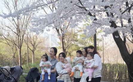 설레는 초봄과 초봄을 잇는 ... 여의도  '봄의 정원'  봄꽃 축제 현장