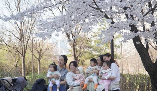  설레는 초봄과 초봄을 잇는 ... 여의도  '봄의 정원'  봄꽃 축제 현장