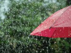 [칼럼] 봄비, 도시 환경을 씻고, 계절을 열다