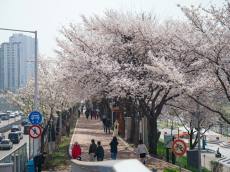 인증샷보다 더 중요한 건? 머문 자리 남기지 않기