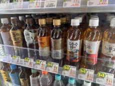 2026 MZ세대의 '지구 사수'법..