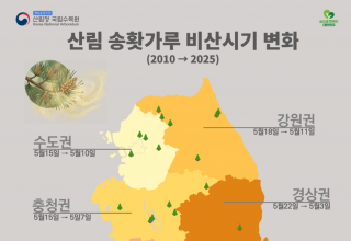 기후변화로 앞당겨지는 송홧가루 비산...개인 대응 넘어선 관리 필요성 제기