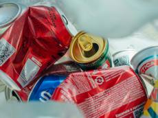 분리한 것을 다시 분리하는 나라, 기술 전환 앞에 선 재활용 노동