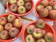 4월의 ‘이상 고온’, 식탁 물가 뒤흔드는 ‘기후 인플레이션’ 도화선 되나