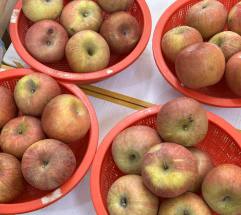 4월의 ‘이상 고온’, 식탁 물가 뒤흔드는 ‘기후 인플레이션’ 도화선 되나