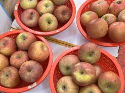 4월의 ‘이상 고온’, 식탁 물가 뒤흔드는 ‘기후 인플레이션’ 도화선 되나