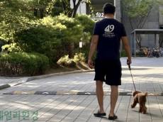 강아지 '살인 진드기' 바이러스 발생..지난해 41명 숨져