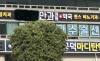 "백내장 환자 33만 명 시대"… 흐려지는 시력 지키는 '3대 방어선'