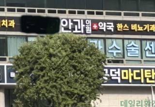 "백내장 환자 33만 명 시대"… 흐려지는 시력 지키는 '3대 방어선'
