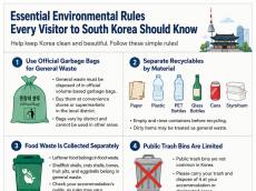 Essential Environmental Rules Every Visitor to South Korea Should Know