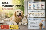 [기획 리포트] 긴 폭염 속 반려동물은 안전한가 … "사람보다 더 위험하다" 전문가들 경고 속의 여름 생존법