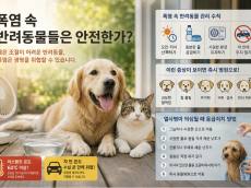 [기획 리포트] 긴 폭염 속 반려동물은 안전한가 … 