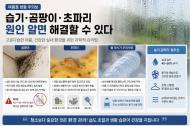 [기획 리포트] 여름철 습기·곰팡이·초파리 … 무심코 한 행동이 집안을 오염시킨다