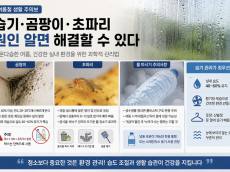 [기획 리포트] 여름철 습기·곰팡이·초파리 … 무심코 한 행동이 집안을 오염시킨다