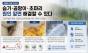  여름철 습기·곰팡이·초파리 … 무심코 한 행동이 집안을 오염시킨다