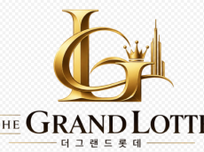 더그랜드롯데에 피부과까지…‘최상위 호텔’ 브랜드 정체성 논란