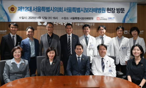 공공의료 지키면서 적자는 줄여야…서울시립병원 경영난 해법은