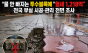 “물 안 빠지는 투수블록에 혈세 1,218억”…전국 부실 시공·관리 전면 조사