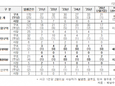 ‘바다의 블랙홀’ 테트라포드… 5년간 204명 집어 삼켰다