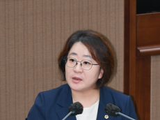“출근길 안 다니는데 대중교통?”… 1,700억 한강버스, 정체성 논란