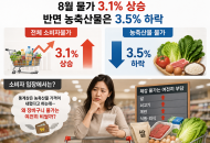 “농축산물 3.5% 하락이라는 통계는 맞지만, 그것이 곧 체감물가 하락을 의미하는 것은 아니다