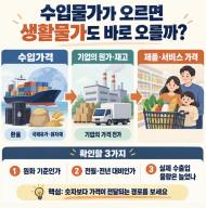 수입물가 오르면 장바구니 물가도 바로 오를까, 한국은행 발표 '수출입물가지수'