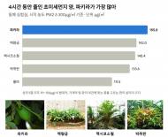 [기획] "작은 가게에 숲 한 평을" ... 지역 주민 건강을 생각한 소상공인 초록 매장 꾸미기