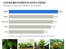 [기획] 