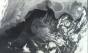 AMOC 약화, 온난화 되돌리면 회복 가능성…“단일 모형 결과, 낙관은 금물”