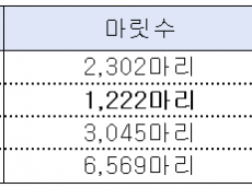 살아있다더니 행방묘연…한국마사회 ‘가짜 생존마’ 둔갑시킨 말 복지의 민낯