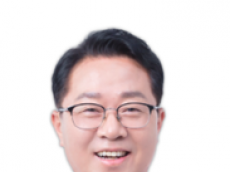 성분 같다고 프리패스?… ‘검증 0’ 저가 중국산에 뚫리는 소나무 방제망