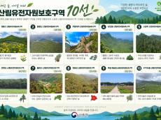 야생화부터 원시림까지, ‘산림유전자원보호구역 10선’ 첫 선정