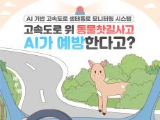 도로 위 고라니, AI가 먼저 발견한다…청주 국도 17호선에 '로드킬 경보'