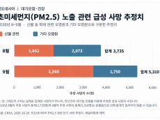 인도네시아 9월 대기오염 사망 추정 5,310명…산불 연기 3,560명